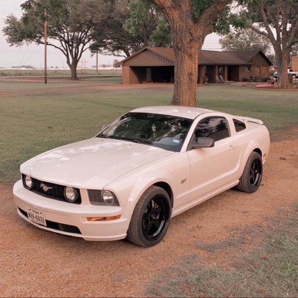 Meet your Posher, Nicholas - Picture 1 of 1